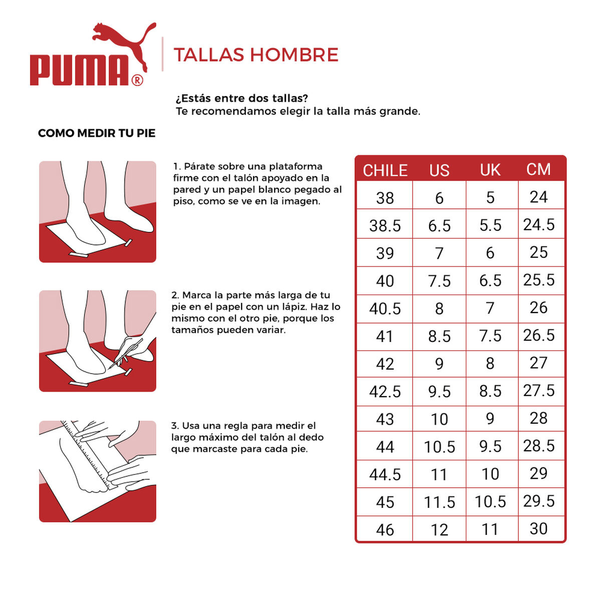 Desconexión sangrado color Zapato de Fútbol Hombre Puma Ultra 4.3 FG/AG | Ofertas en laPolar.cl