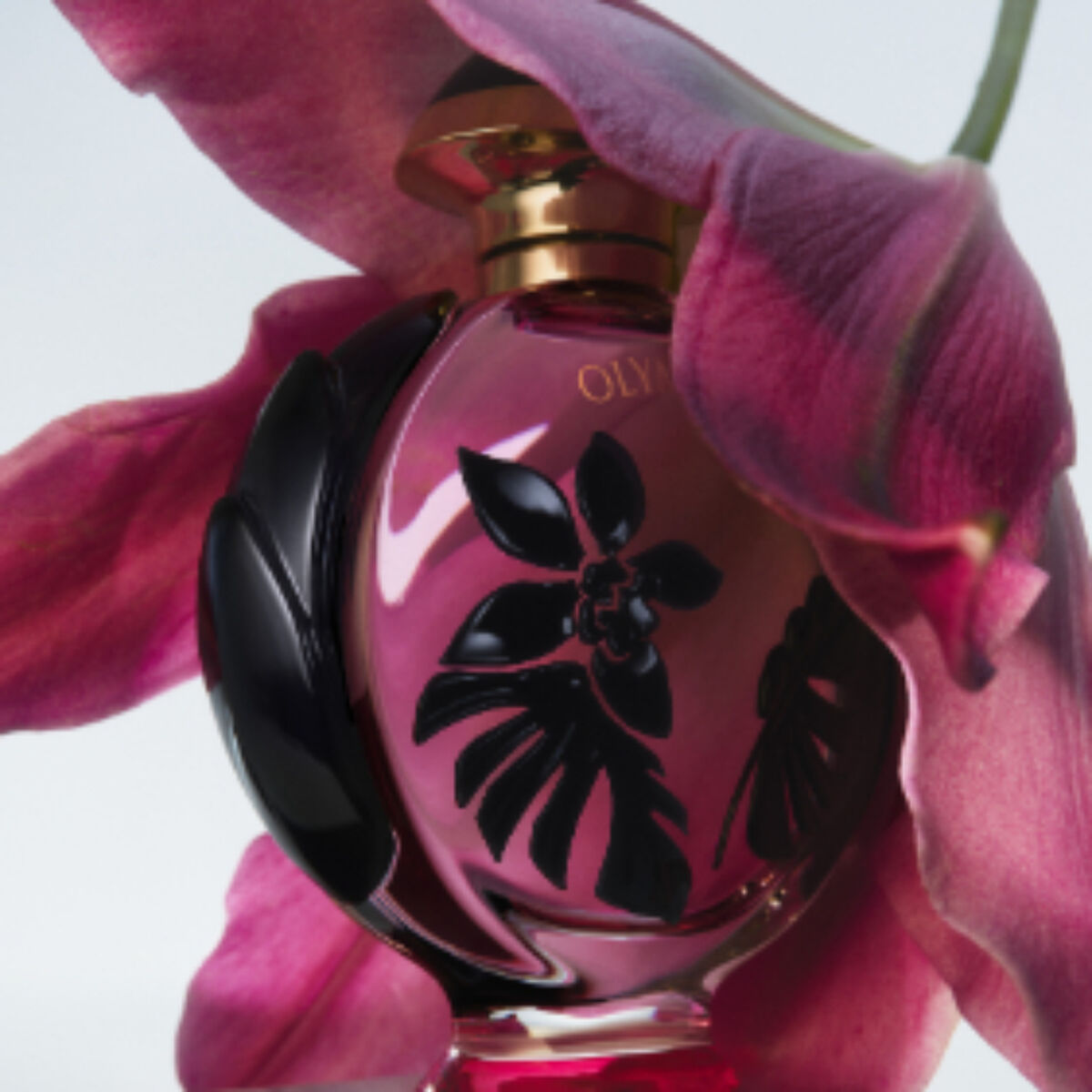 Perfume Mujer Paco Rabanne Olympea Flora EDP 50 ML