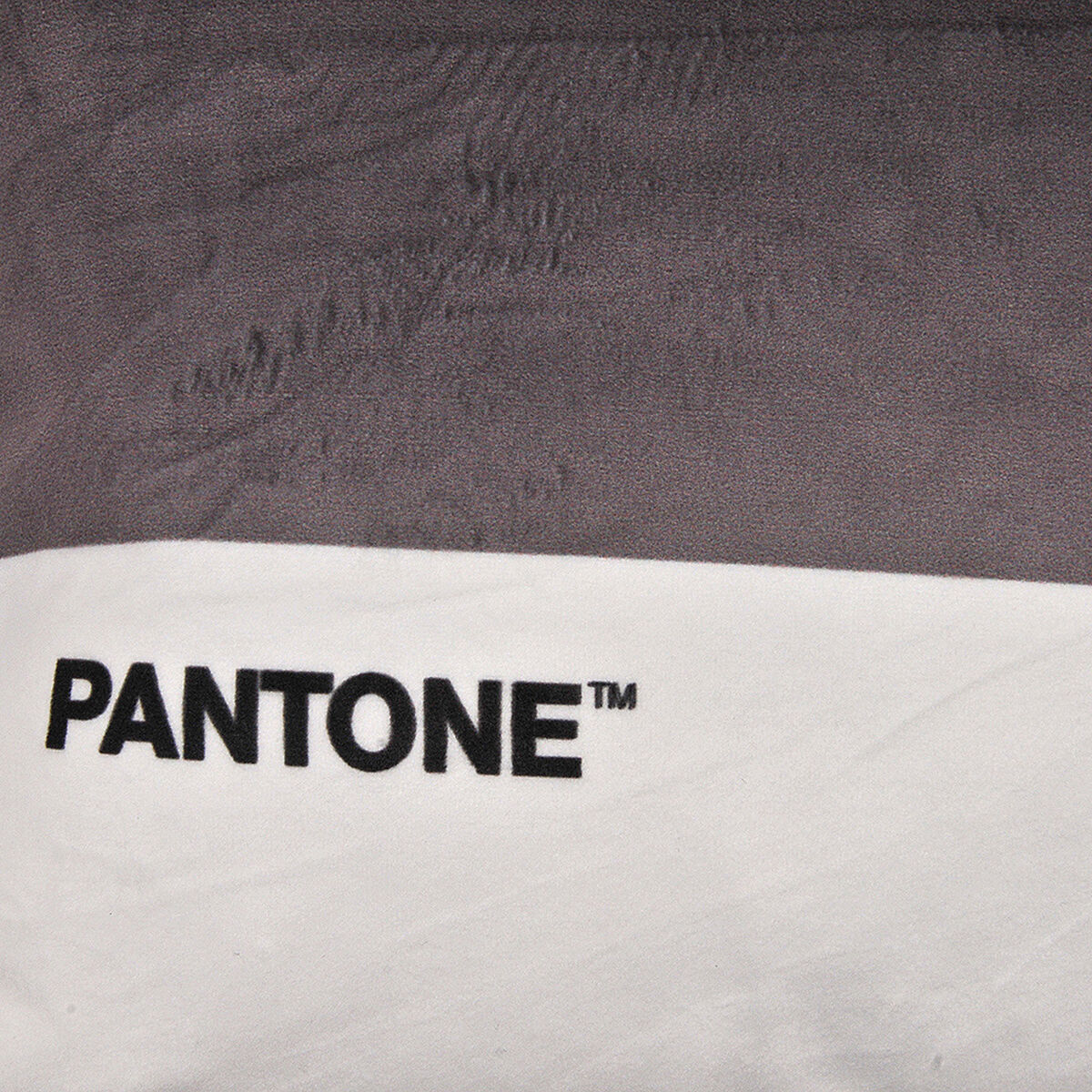 Cojín Pantone Velvet 40X40 Cm Taupe