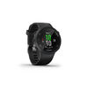 Smartwatch Garmin Forerunner 45 Negro