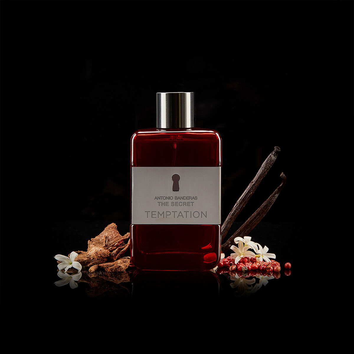 Perfume Antonio Banderas The Secret Temptation Men EDT 50 ml