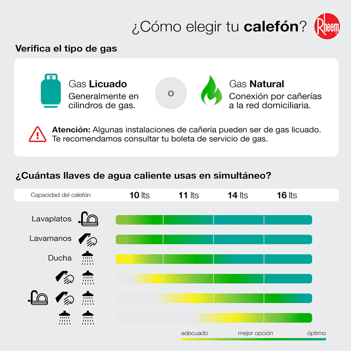 Calefont Gas Natural Rheem Tiro Natural Ionizado 16 lts.