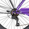 Bicicleta Oxford Mujer BP2448 Aro 24
