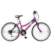 Bicicleta Lahsen BO82413 Dallas Aro 24