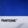 Cojín Pantone Velvet 40X40 Cm Azul