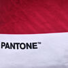 Cojín Pantone Velvet 40X40 Cm Burdeo