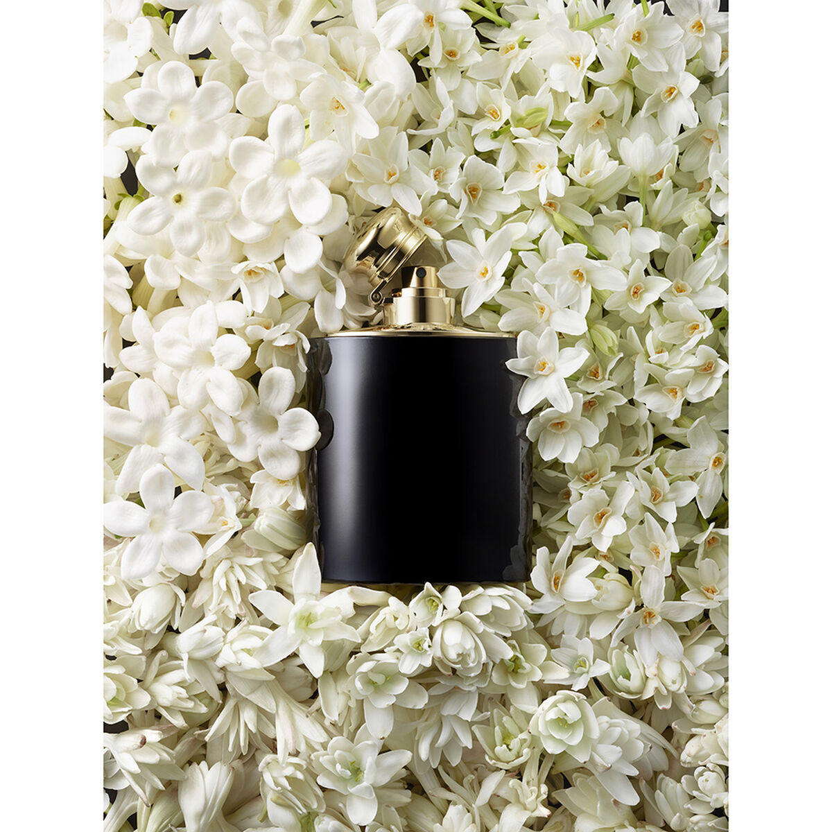 Perfume Ralph Lauren Woman Intense Black 30 ml