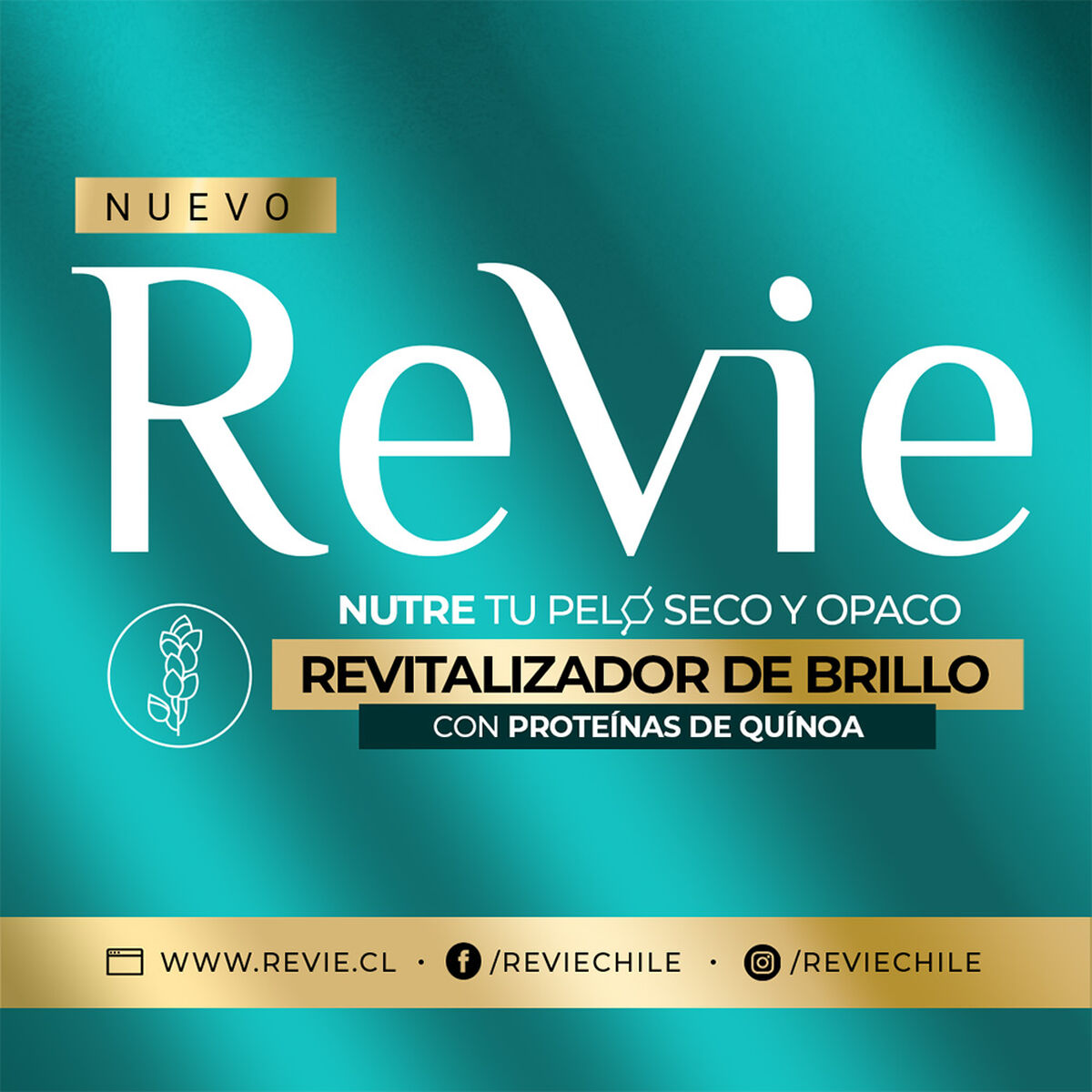 Revie 2 Shampoo + Acondicionador Revitalizador Brillo