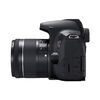 Camara Canon EOS Rebel T8i Negro