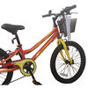 Bicicleta Infantil Alpinextrem Kida Aro 20