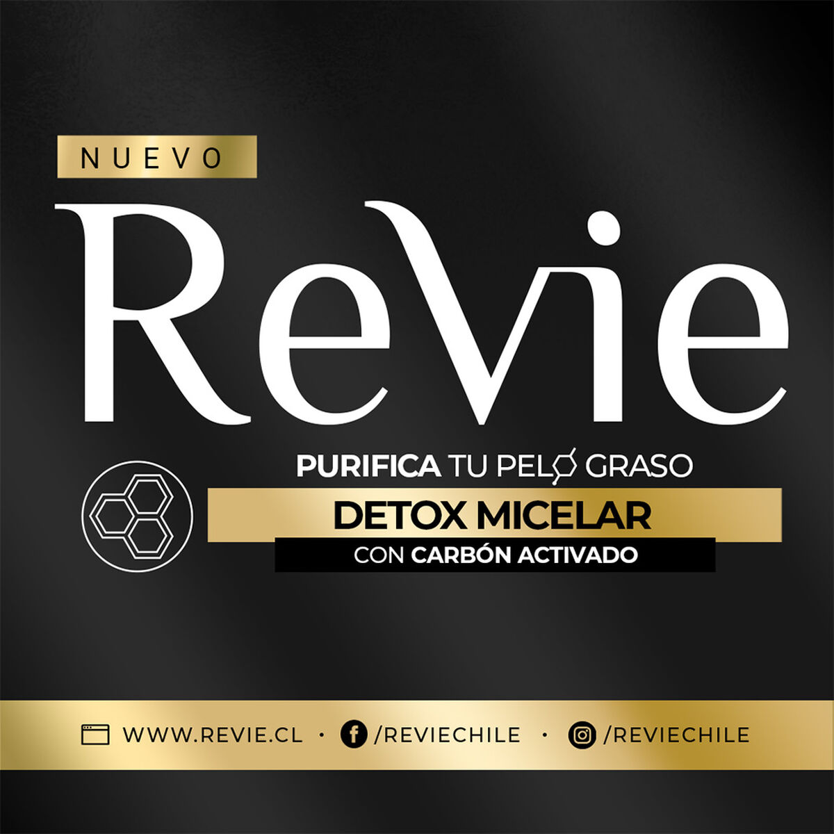 Pack Revie Shampoo + Acondicionador Detox Micelar