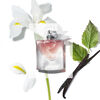 Perfume Lancome La Vie Est Belle EDP 75 ml